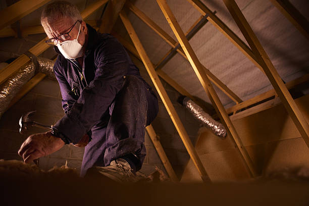 Best Specialty Insulation in Sulligent, AL